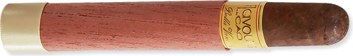 Corona (5.1" x 42) - Vanilla