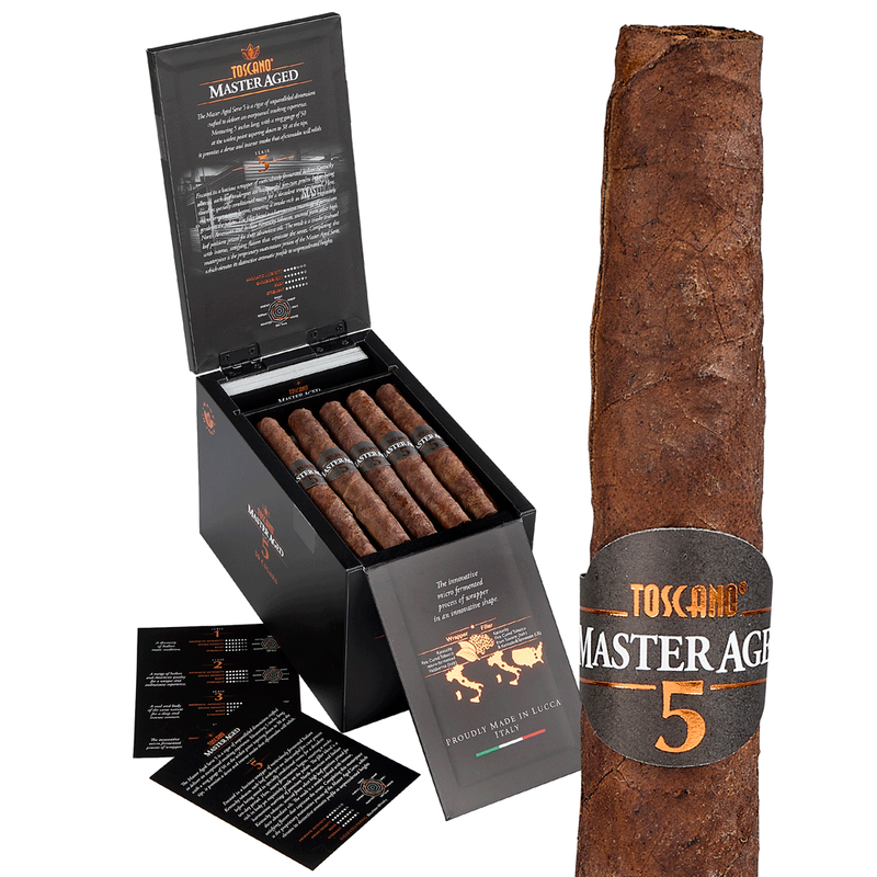 master tobacco cigarette Cigarettes Master Nanokings One Dutch Master President Cigars 5pk-