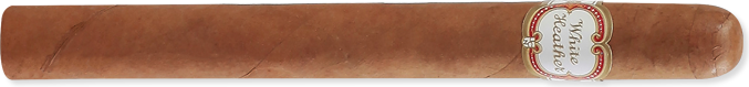 Churchill (7.0" x 48)