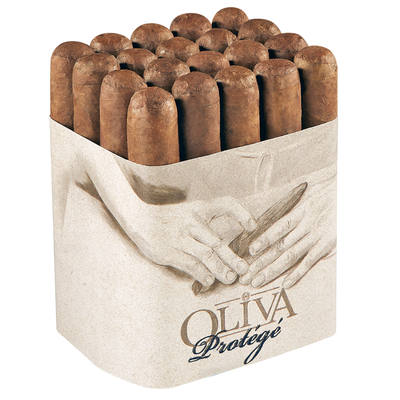 Oliva Protege Sumatra