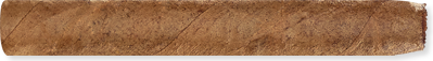 Half Corona (4.1" x 37) - Connecticut (Blue Box)