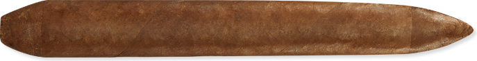 Salomon (7.1" x 58) - Habano
