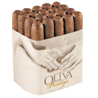 Oliva Protege Sumatra