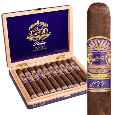 Perez Carrillo Pledge Purple by Casa Carrillo