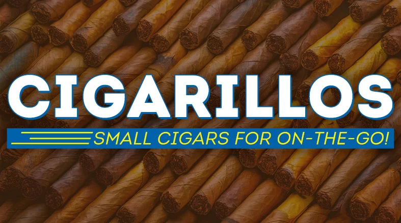 Guide to Small Cigars content main image