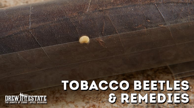 tobacco control research Advances in Social Media Research to Reduce Tobacco Use
